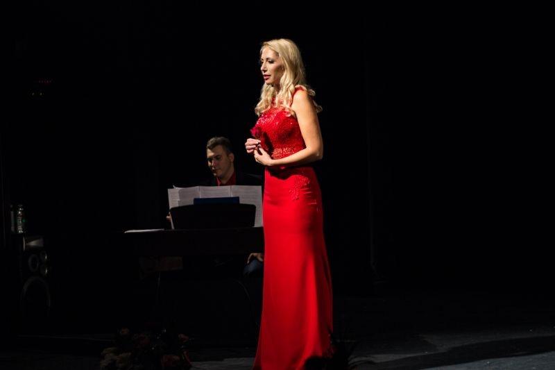 ana sinicki