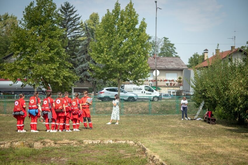 3 podmladak