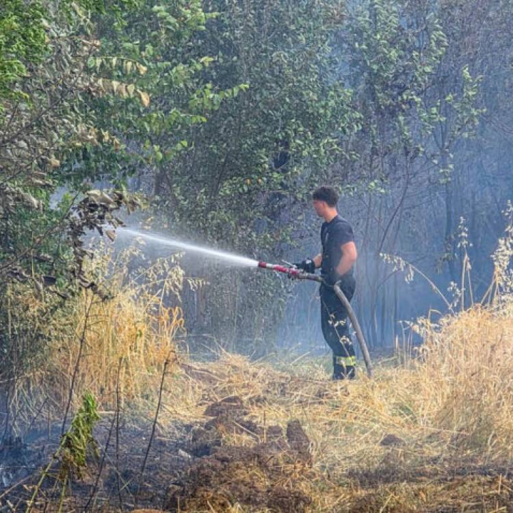 Пожар у Планиници угашен, у пет села мионичке општине проглашена ванредна ситуација због суше